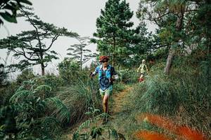 BIB: 
                            <button type="button" onclick="openModal(25259060)" class="btn btn-primary btn-sm float-right btn-popup" data-toggle="modal" data-target=".modal-high-quality">
                        <i class="fas fa-shopping-cart"></i> Add to Cart
                    </button>
                                            <button type="button" onclick="isThisMe(25259060, true)" class="btn btn-success btn-sm float-right btn-popup btn-isme hidden" data-toggle="tooltip" data-placement="bottom" title="นี่คือรูปของคุณใช่ไหม คลิกที่นี่เพื่อเอาเข้าอัลบั้ม">
                        <i class="fas fa-plus"></i> Add to album
                    </button>
                    <button type="button" onclick="isThisMe(25259060, false)" class="btn btn-warning btn-sm float-right btn-popup btn-isnotme hidden">
                        <i class="fas fa-ban"></i> Remove from album
                    </button>